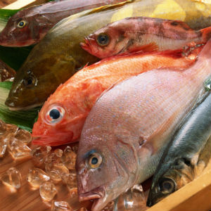 Differenze tra prodotti ittici surgelati, congelati e freschi